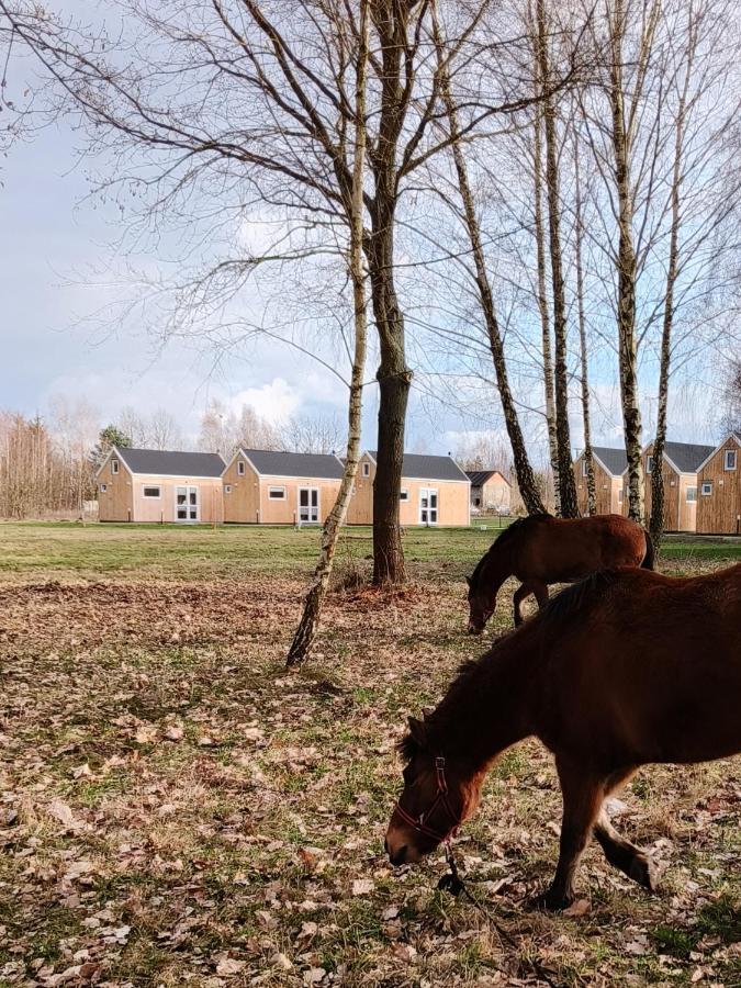 Zagajnik Country Camp Obok Suntago Villa Grabce-Towarzystwo Luaran gambar